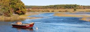 Herring_River_West_Harwich_Cape_Cod_Massachusetts