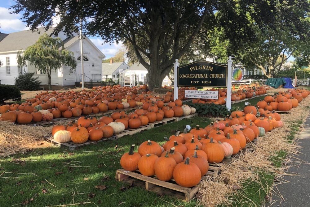 Rows of pumpkins at local church for sale for Halloween