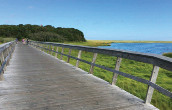 Cape Cod Rail Trail with wooden fence as guardrail